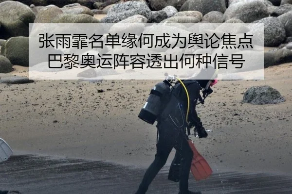 张雨霏名单缘何成为舆论焦点 巴黎奥运阵容透出何种信号